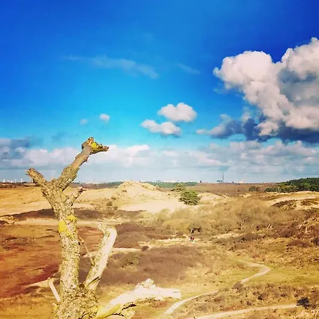 Achter De Duinen