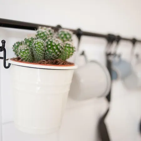 Achter De Duinen Apartamento