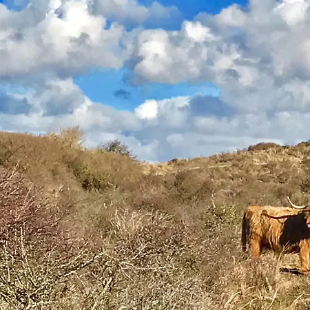 Achter De Duinen Zandvoort